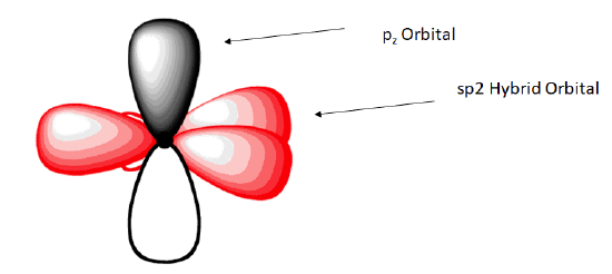 sp<sup>2</sup>杂化轨道