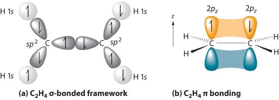 乙烯分子结构