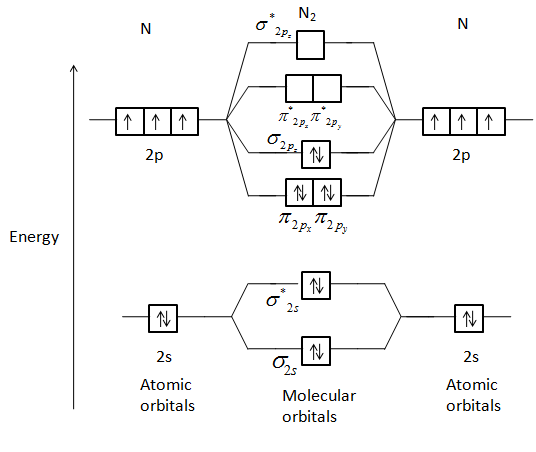 N<sub>2</sub>分子轨道能级图