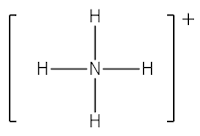 铵根的路易斯结构式